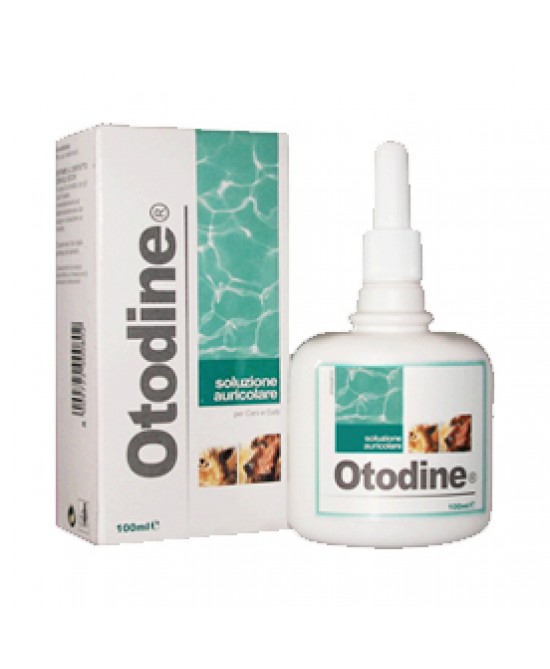 OTODINE DETERGENTE LIQUIDO 100 ML - farmanauta.it