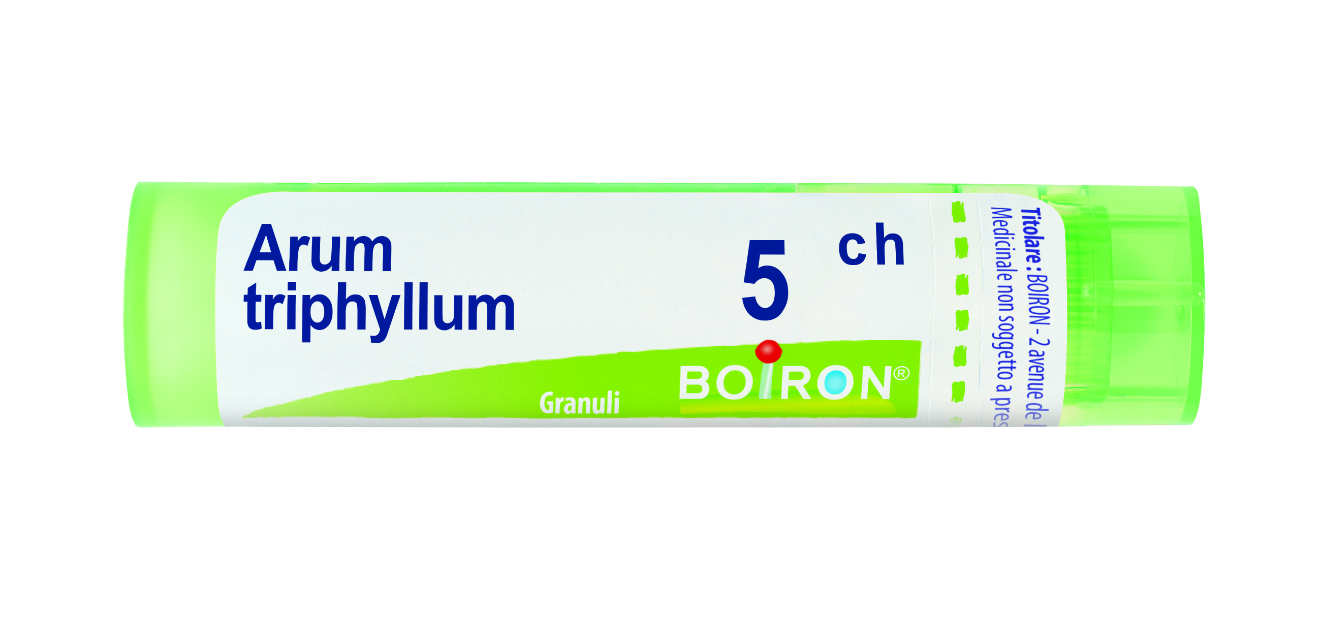 ARUM TRIPHYL BOI*5CH GR 4G - farmanauta.it