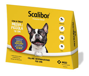 SCALIBOR PROTECTOR BAND*BI48CM - farmanauta.it