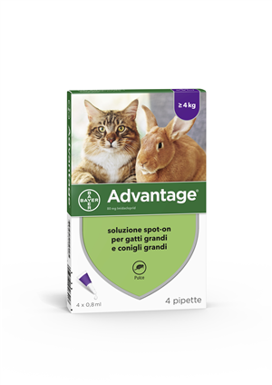 ADVANTAGE*4PIP 0,8ML SPOTON - farmanauta.it