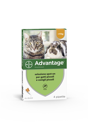 ADVANTAGE*4PIP 0,4ML SPOTON - farmanauta.it