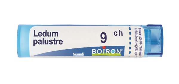 LEDUM PALUSTRE 9 CH GRANULI 4G - farmanauta.it