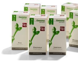 MAGNOLIA OFFICINALE MACERATO GLICERICO 100 ML - farmanauta.it