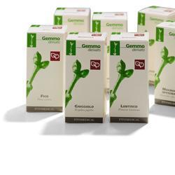 SORBO MACERATO GLICERICO 100 ML - farmanauta.it