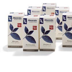 ECHINACEA 100ML TM - farmanauta.it
