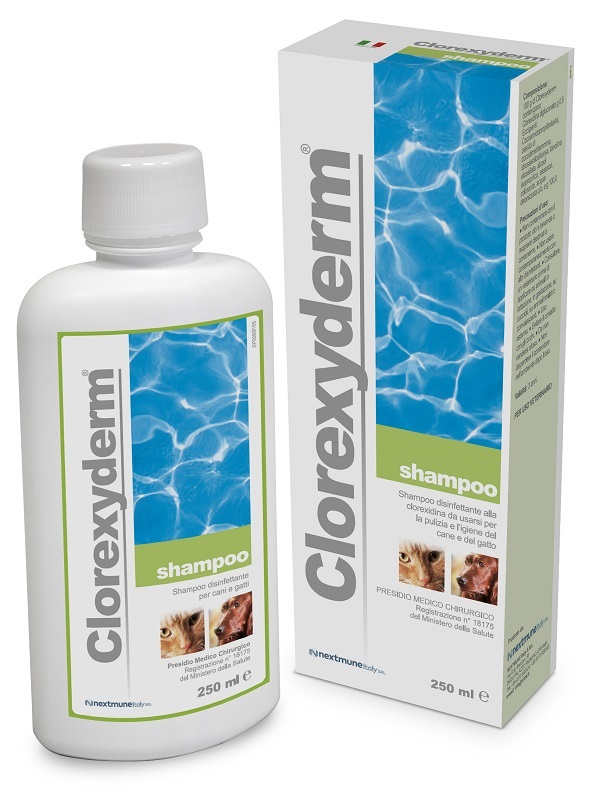 CLOREXYDERM SHAMPOO 250 ML - farmanauta.it
