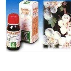 BIANCOSPINO 10 50ML TM - farmanauta.it