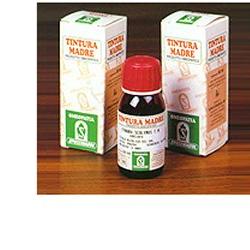 PUNGITOPO 24 50ML TM - farmanauta.it