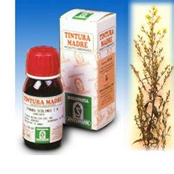 VERGA ORO 26 50ML TM - farmanauta.it
