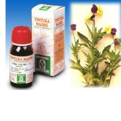 VIOLA DEL PENSIERO 32 50ML TM - farmanauta.it