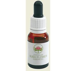FLANNEL FLOWER AUSTRALIAN 15ML - farmanauta.it