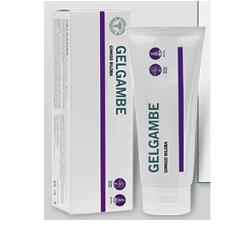 LFP GEL GAMBE GINKGO 100 ML - farmanauta.it
