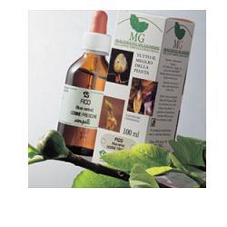 RIBES MACERATO GLICERICO 100 ML - farmanauta.it