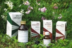 RAEMIL PRIMULA OLIO 25 ML - farmanauta.it