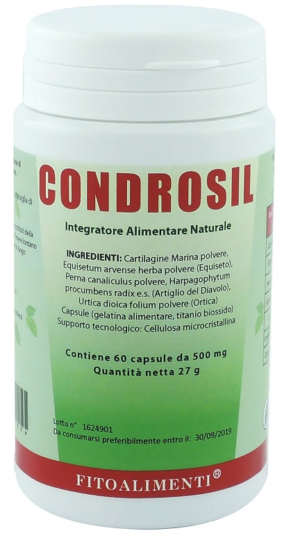 CONDROSIL 60 CAPSULE - farmanauta.it