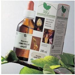 BETULLA MACERATO GLICERICO 100 ML - farmanauta.it