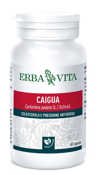 CAIGUA 60 CAPSULE 400 MG - farmanauta.it
