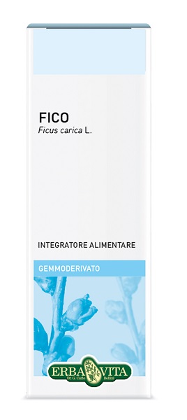 GEMMODERIVATO FICO 50 ML - farmanauta.it