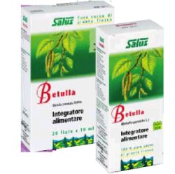 BETULLA SUCCO 200ML BIO - farmanauta.it