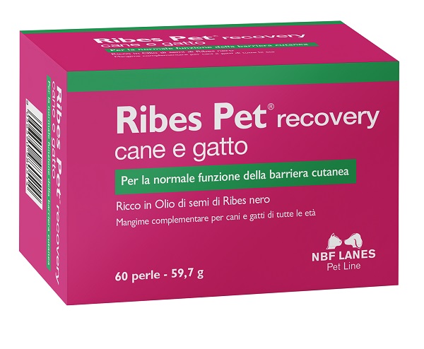 RIBES PET RECOVERY BLISTER 60 PERLE - farmanauta.it