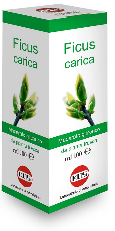 FICUS CARICA MG 100 ML GOCCE - farmanauta.it