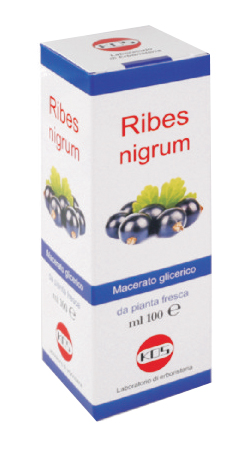 RIBES NIGRUM MG 100 ML GOCCE - farmanauta.it