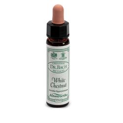 AINSWORTHS WHITE CHESTNUT 10ML - farmanauta.it