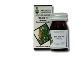 EQUISETO 60 CAPSULE 500 MG - farmanauta.it