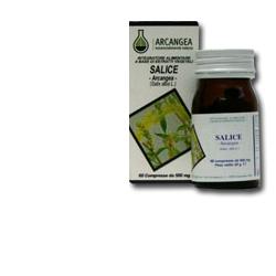 SALICE 60 CAPSULE 500 MG - farmanauta.it