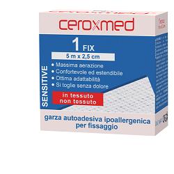 GARZA CEROXMED FIX MISURA 500X2,5 CM 1 PEZZO - farmanauta.it