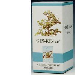 GINKETZE BIO 80 TAVOLETTE 600 MG - farmanauta.it