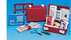 CASSETTA PRONTO SOCCORSO MINIKIT PER CASA, UFFICIO E TEMPO LIBERO. CONTENITORE IN ABS ANTIURTO E CON SUPPORTO PER IL FISSAGGIO ALLA PARETE - farmanauta.it