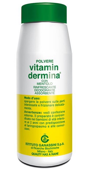 VITAMINDERMINA POLVERE MENT 100 G - farmanauta.it