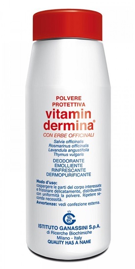 VITAMINDERMINA POLVERE PROT 100G - farmanauta.it