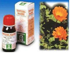 CALENDULA OFF 5 50ML TM - farmanauta.it