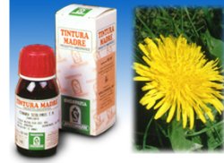 TARASSACO 28 50ML TM - farmanauta.it