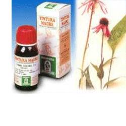ECHINACEA 59 50ML TM - farmanauta.it