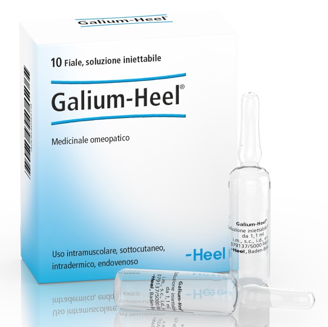 HEEL GALIUM 10 FIALE DA 1,1 ML L'UNA - farmanauta.it