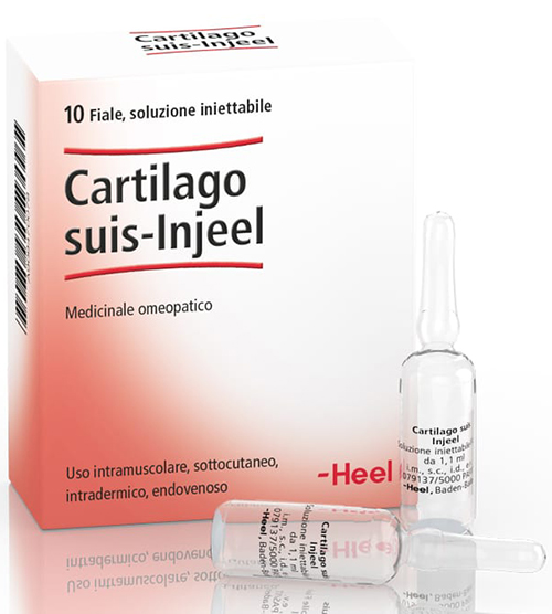 HEEL CARTILAGO SUIS INJEEL 10 FIALE - farmanauta.it
