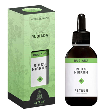 RIBES NERO ASTRUM RUGIADA 50 ML - farmanauta.it