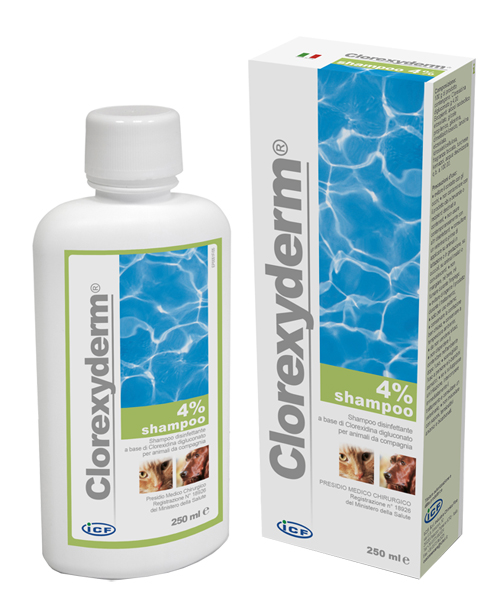 CLOREXYDERM SH 4% 250ML - farmanauta.it