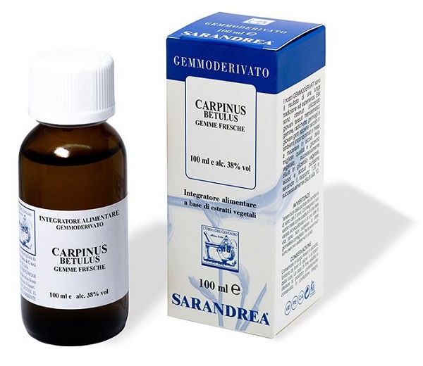 CARPINUS BETULUS 100 ML MACERATO GLICERICO - farmanauta.it