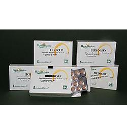 GINKGOSAN 60 COMPRESSE 400 MG - farmanauta.it