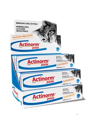ACTINORM PASTA GATTI 65G - farmanauta.it