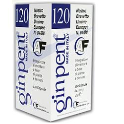 GINPENT 120 CAPSULE 400 MG - farmanauta.it