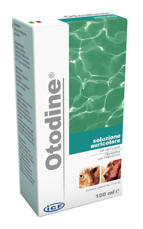 OTODINE DET LIQ 50ML - farmanauta.it