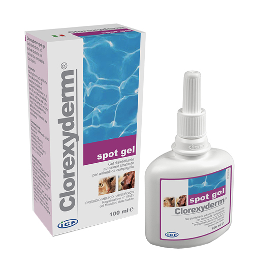 CLOREXYDERM SPOT GEL 100ML - farmanauta.it