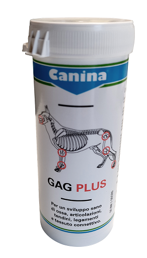 GAG PLUS 200 G 120 TAVOLETTE - farmanauta.it