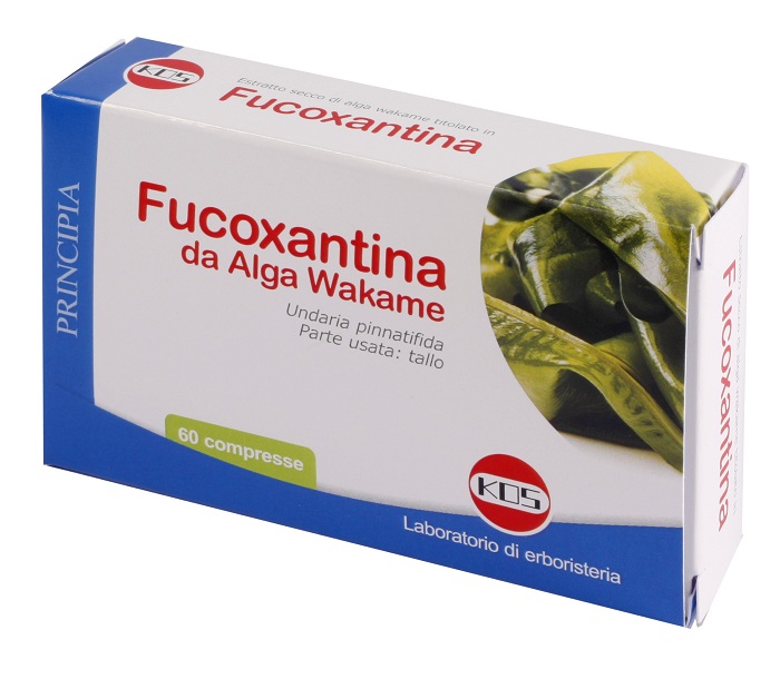 FUCOXANTINA 60 COMPRESSE - farmanauta.it