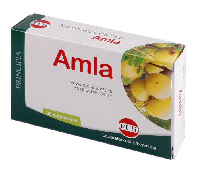 AMLA ESTRATTO SECCO 60 COMPRESSE - farmanauta.it